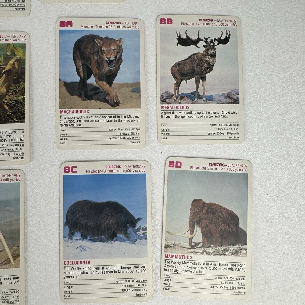 Vintage FX Schmid Animal Rummy Card Game Dinosaurs Prehistoric Animals COMPLETE - Picture 16 of 16